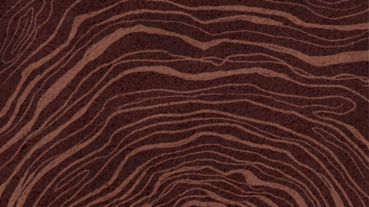 Illustration of New Oak Maturation