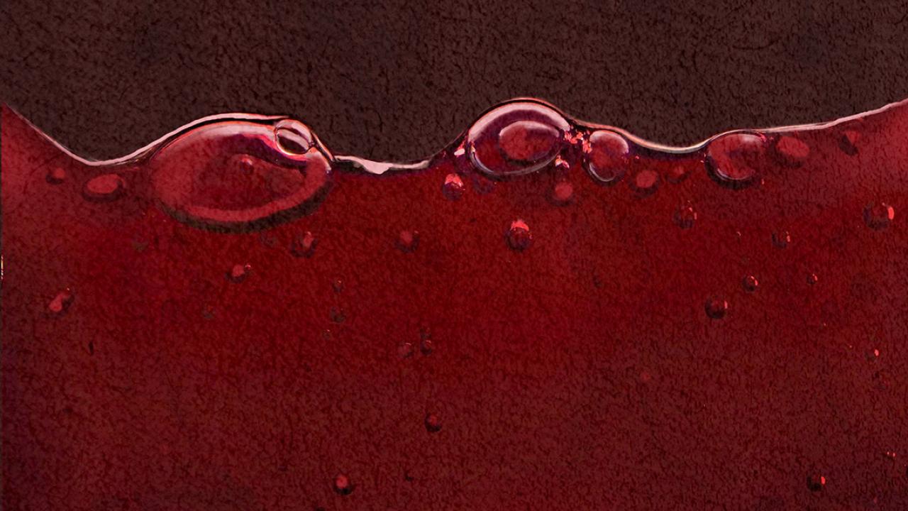 Illustration of Wine Maturation