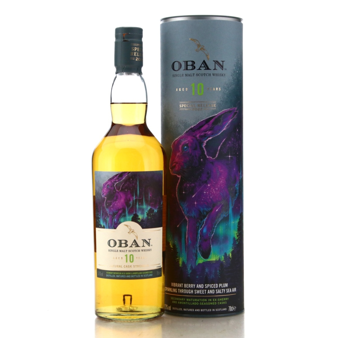 Image for Oban 10 Year Old