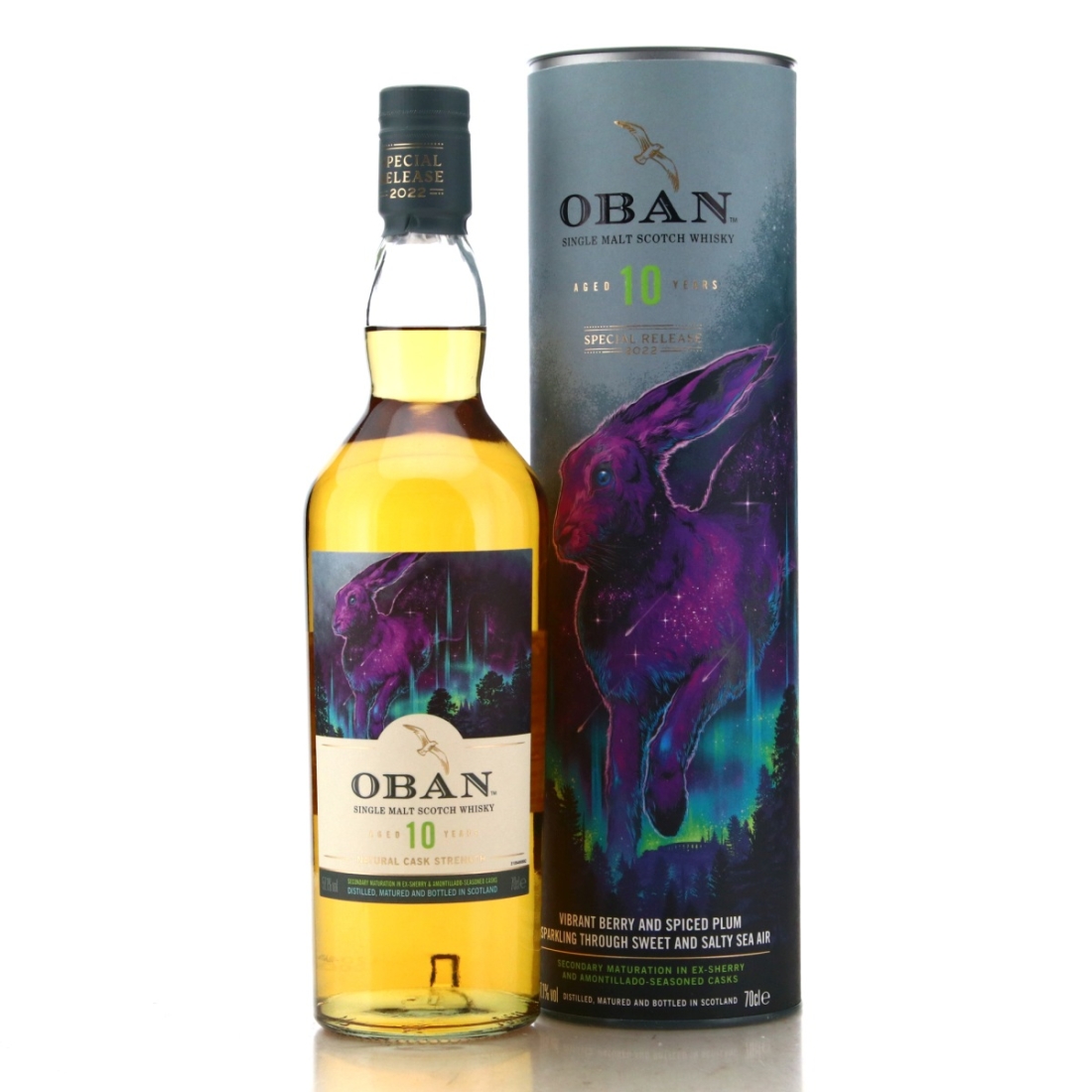 Image for Oban 10 Year Old