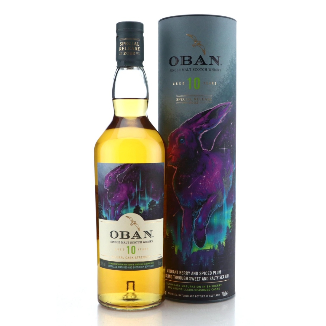 Image for Oban 10 Year Old