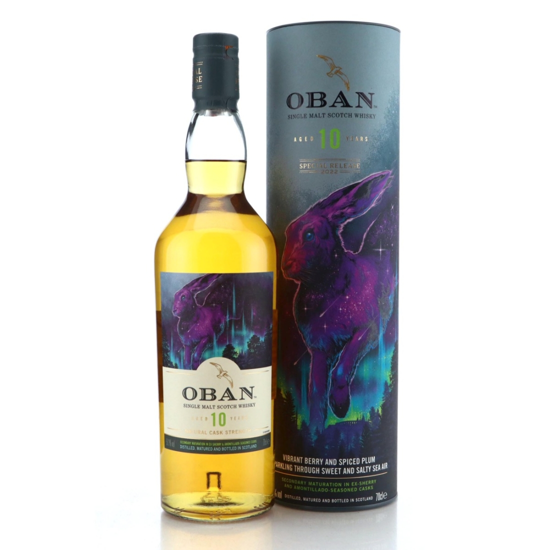 Image for Oban 10 Year Old
