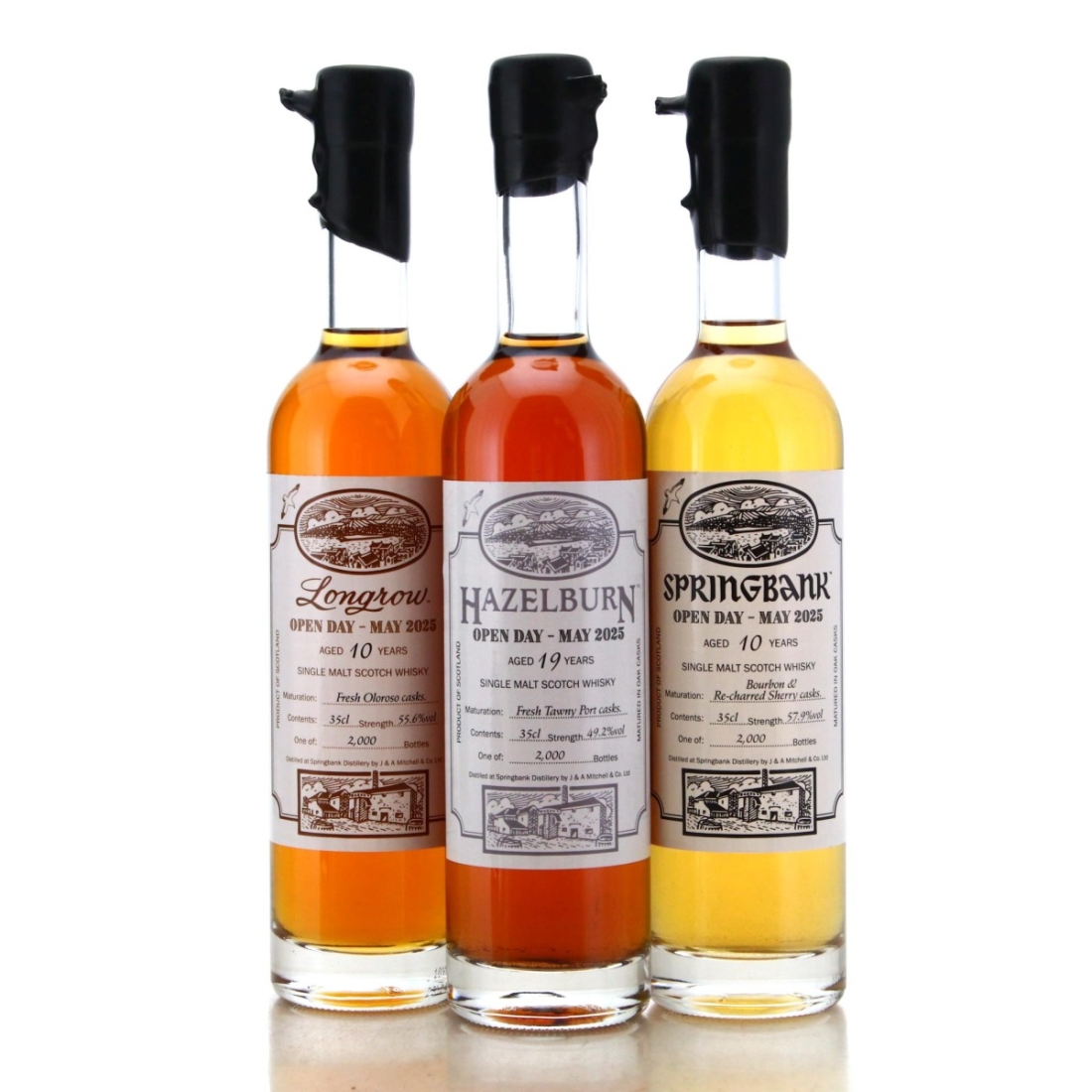 Image for Springbank Open Day Releases 2025 x 3