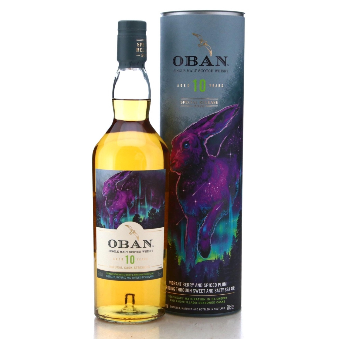 Image for Oban 10 Year Old