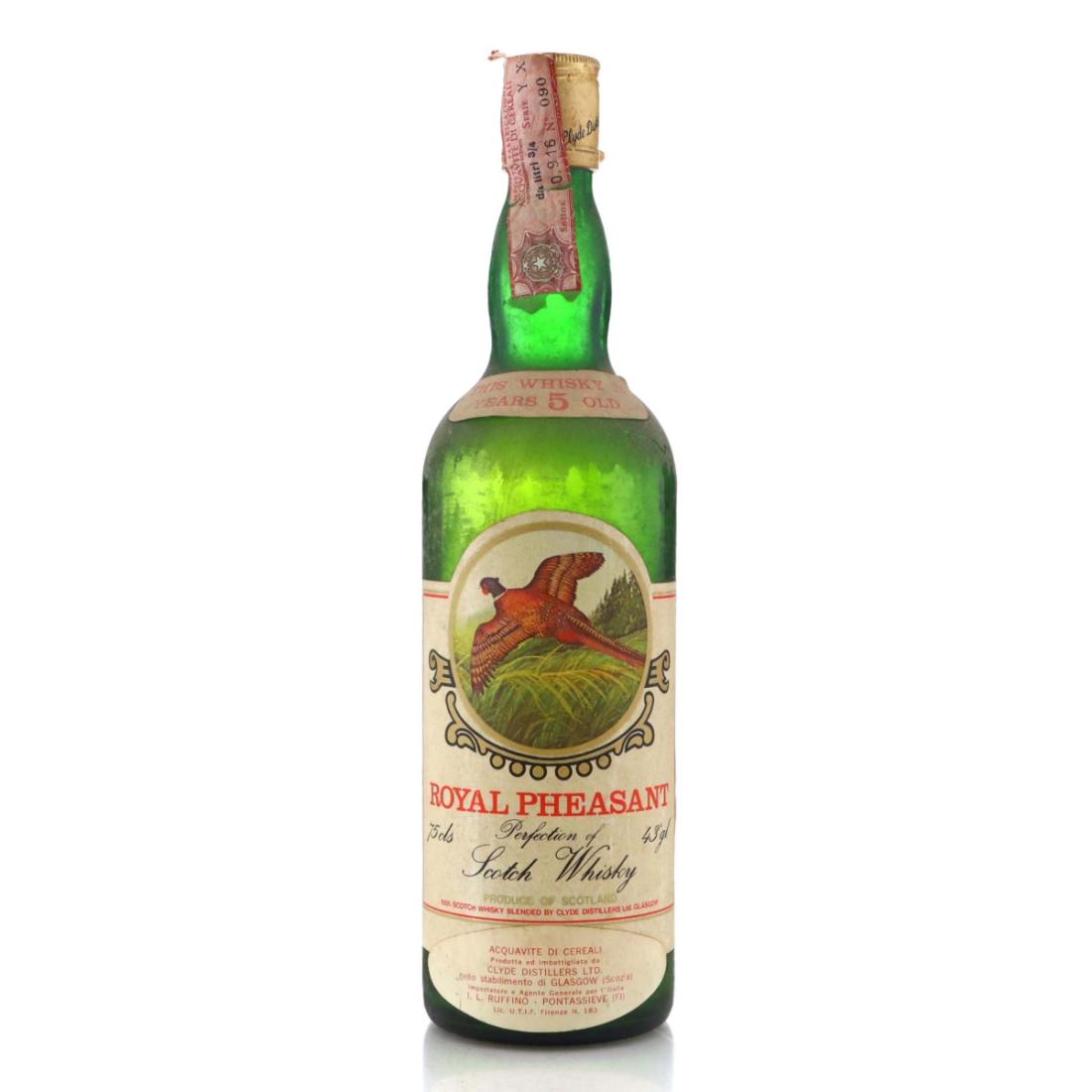 Royal Pheasant 5 Year Old