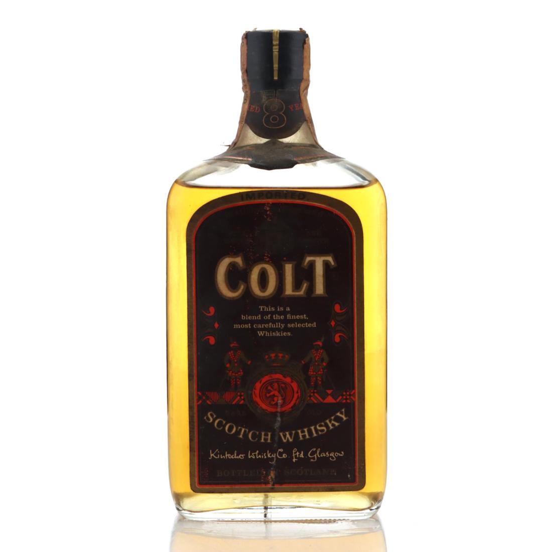 Colt 8 Year Old