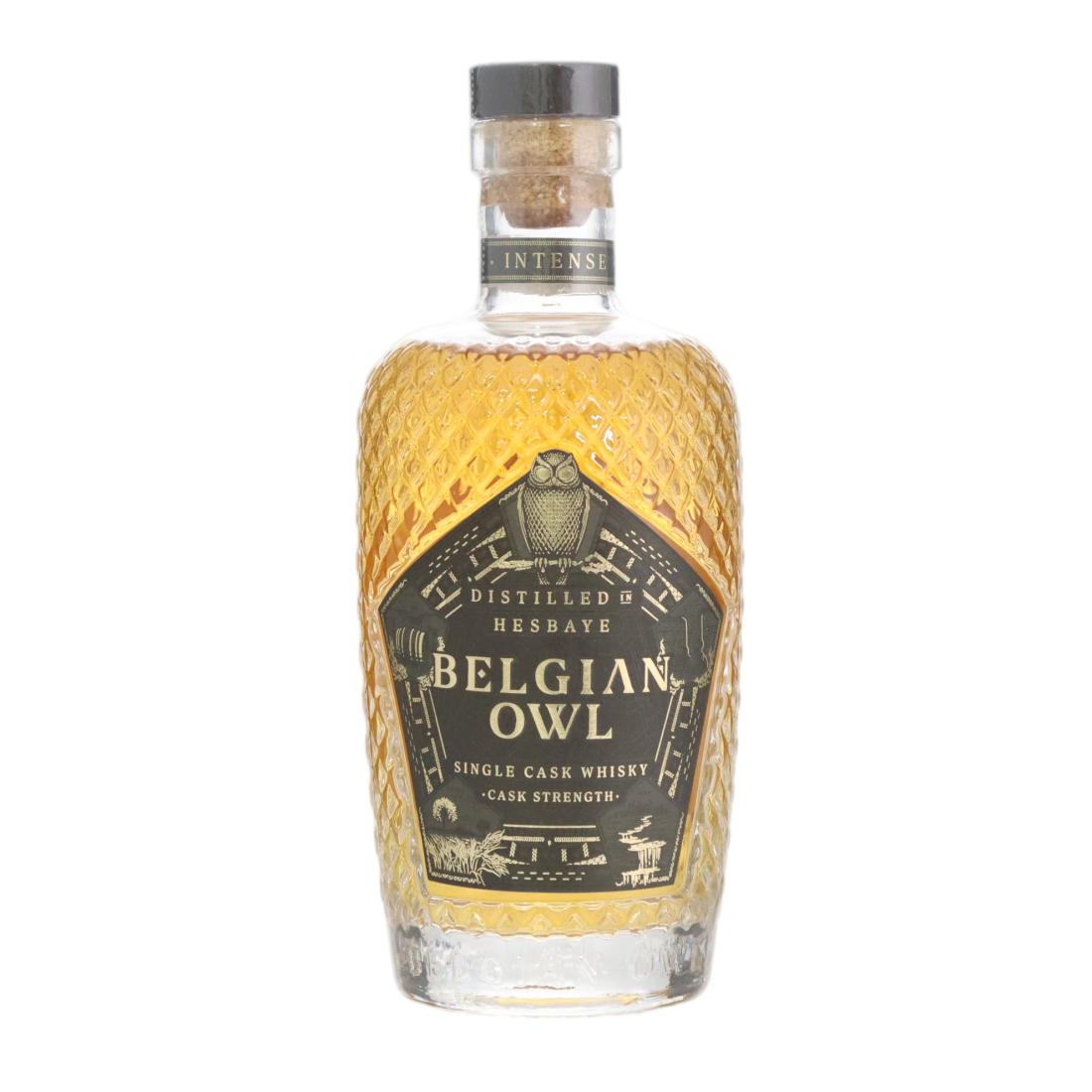 Belgian Owl Intense 3660 Months