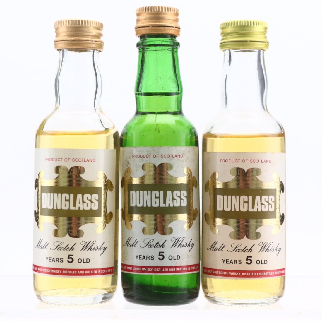 Dunglass 5 Year Old Miniature x 3