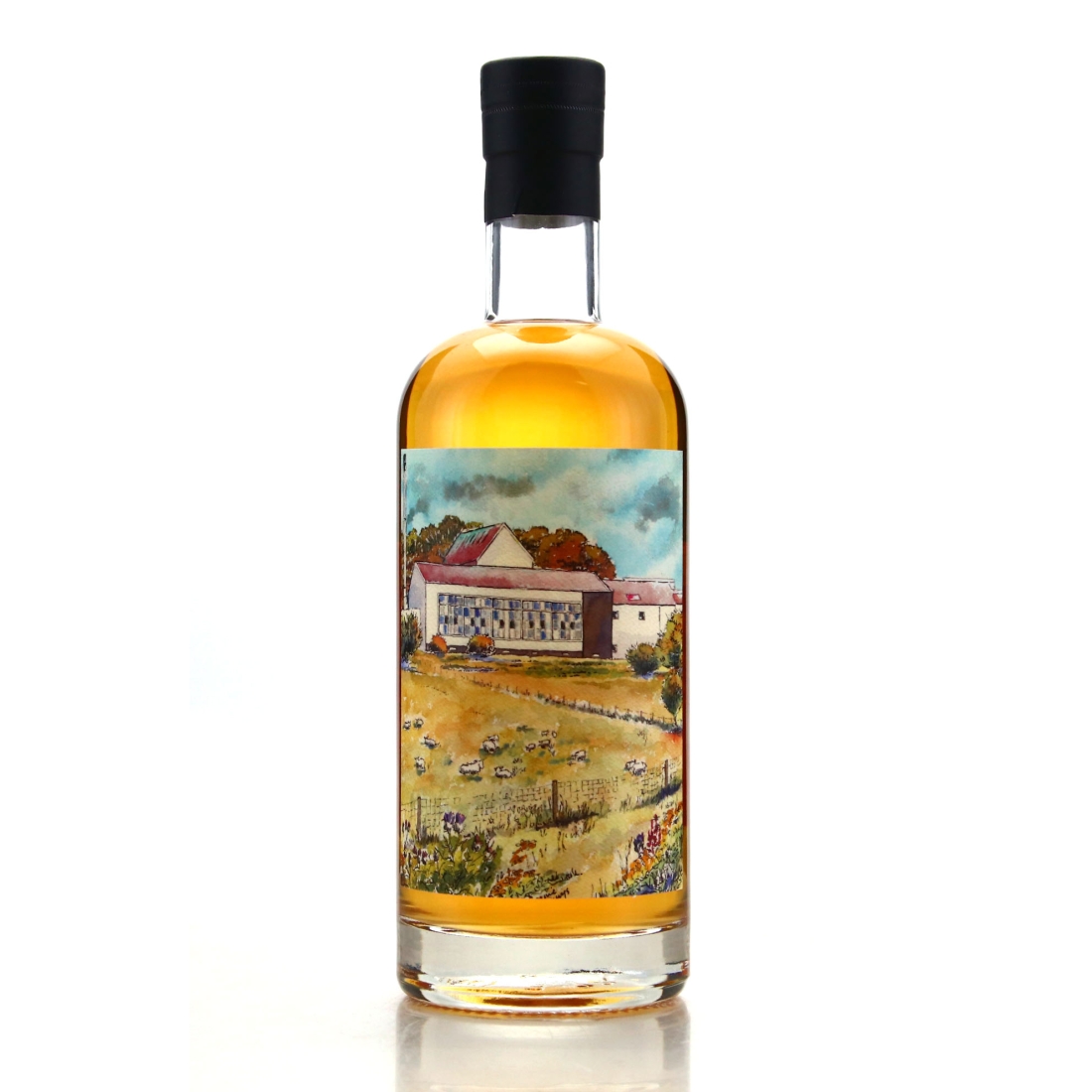 Highland Single Malt 1996 Sansibar 24 Year Old Batch #7 / Finest Whisky Berlin