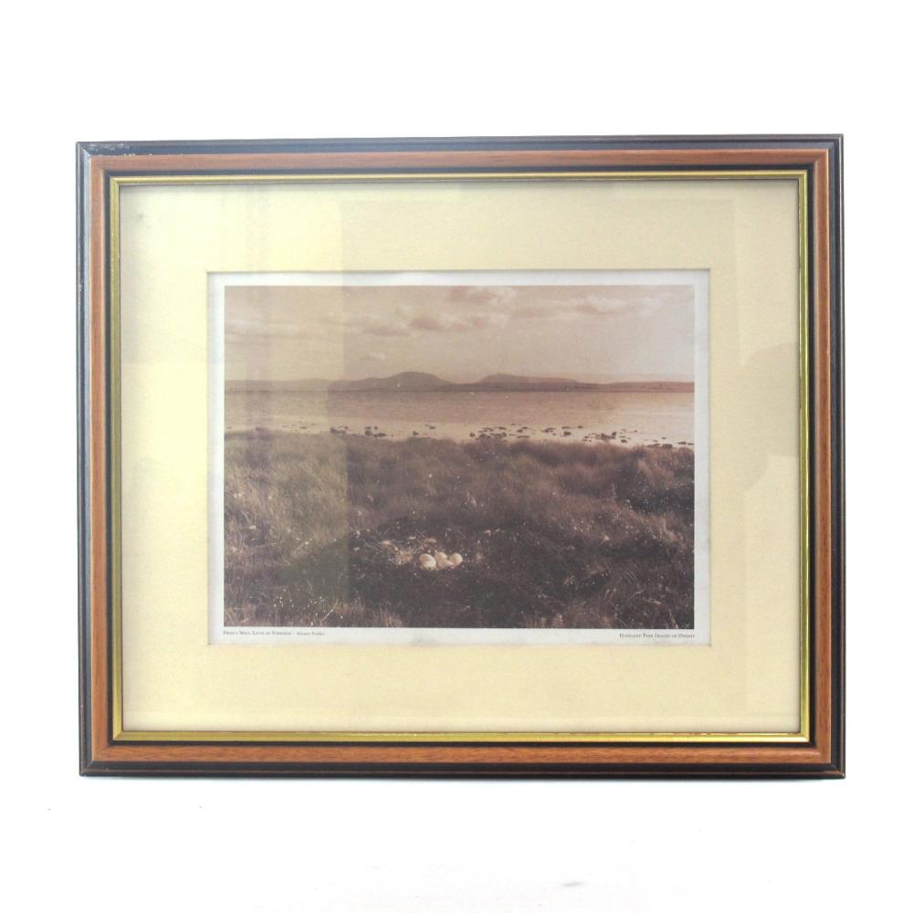 Highland Park Images of Orkney Prints / \"Swan's Nest, Loch of Stenness\"