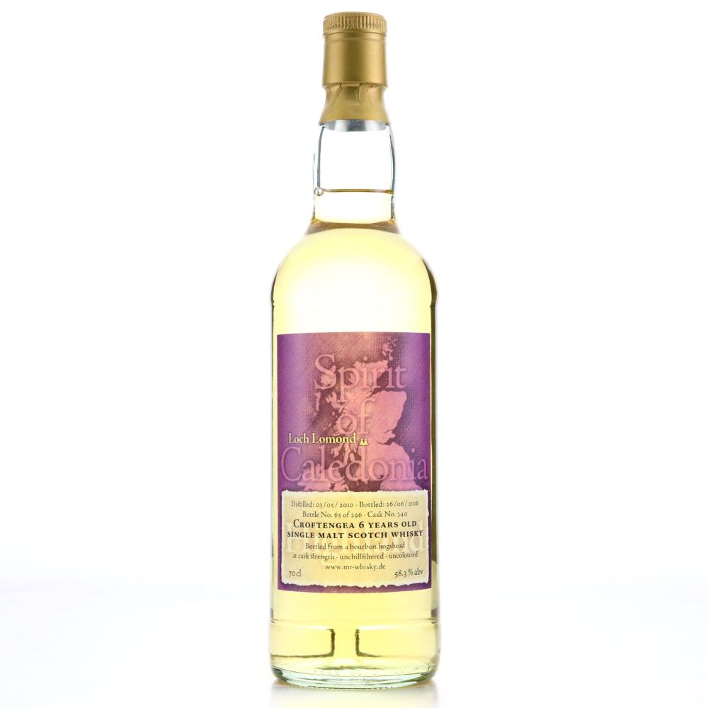 Croftengea 2010 Spirit of Caledonia 6 Year Old