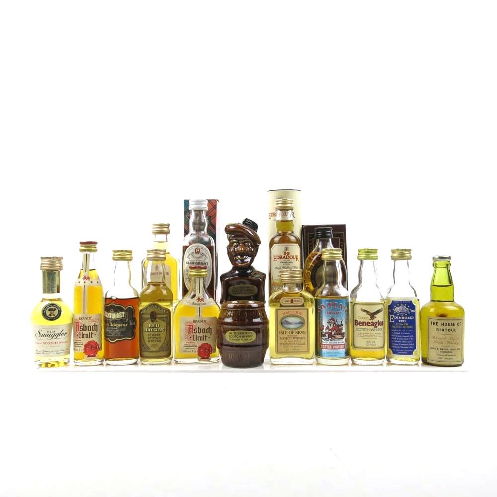 Miscellaneous  Miniatures Collection 16 x 5cl
