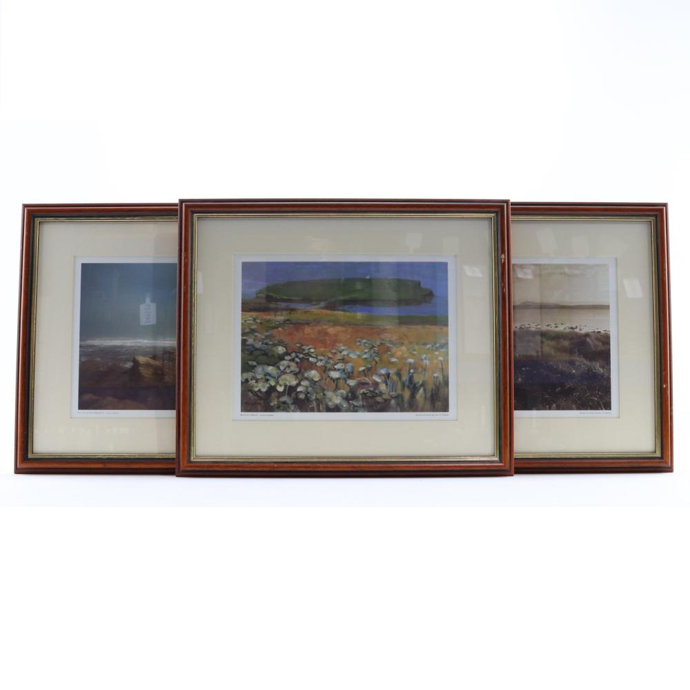 Highland Park Images of Orkney Framed Prints x 3 / Brough of Birsay, Swan's Nest, Hoy Sound